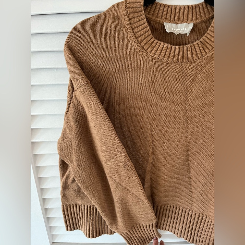 Everlane 100% cotton boxy crew sweater size Medium
